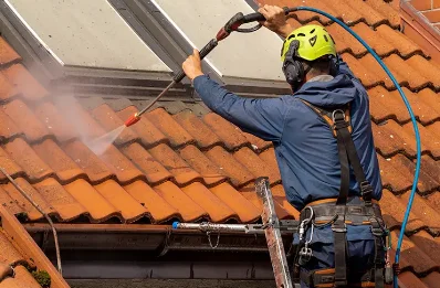 Démoussage et hydrofuge de toiture aux Corvées-les-Yys